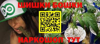 spice Будённовск
